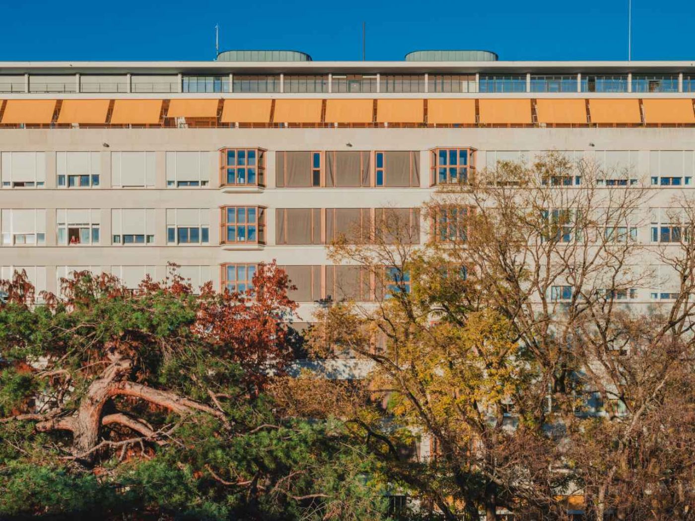 Gebäude B für Chirurgie