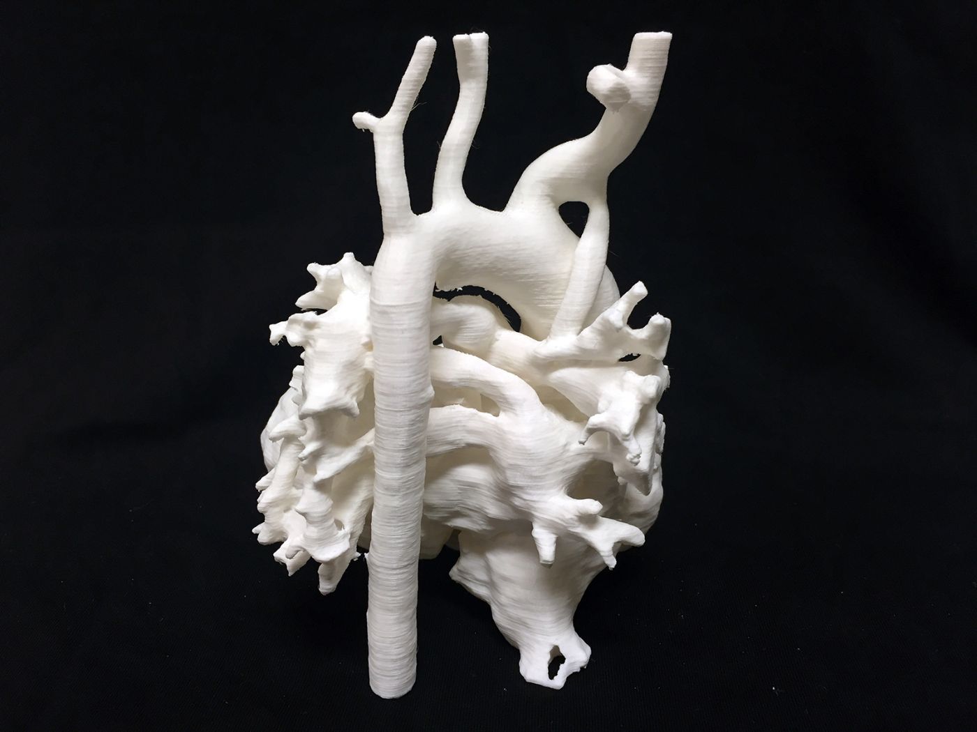 A white 3D model