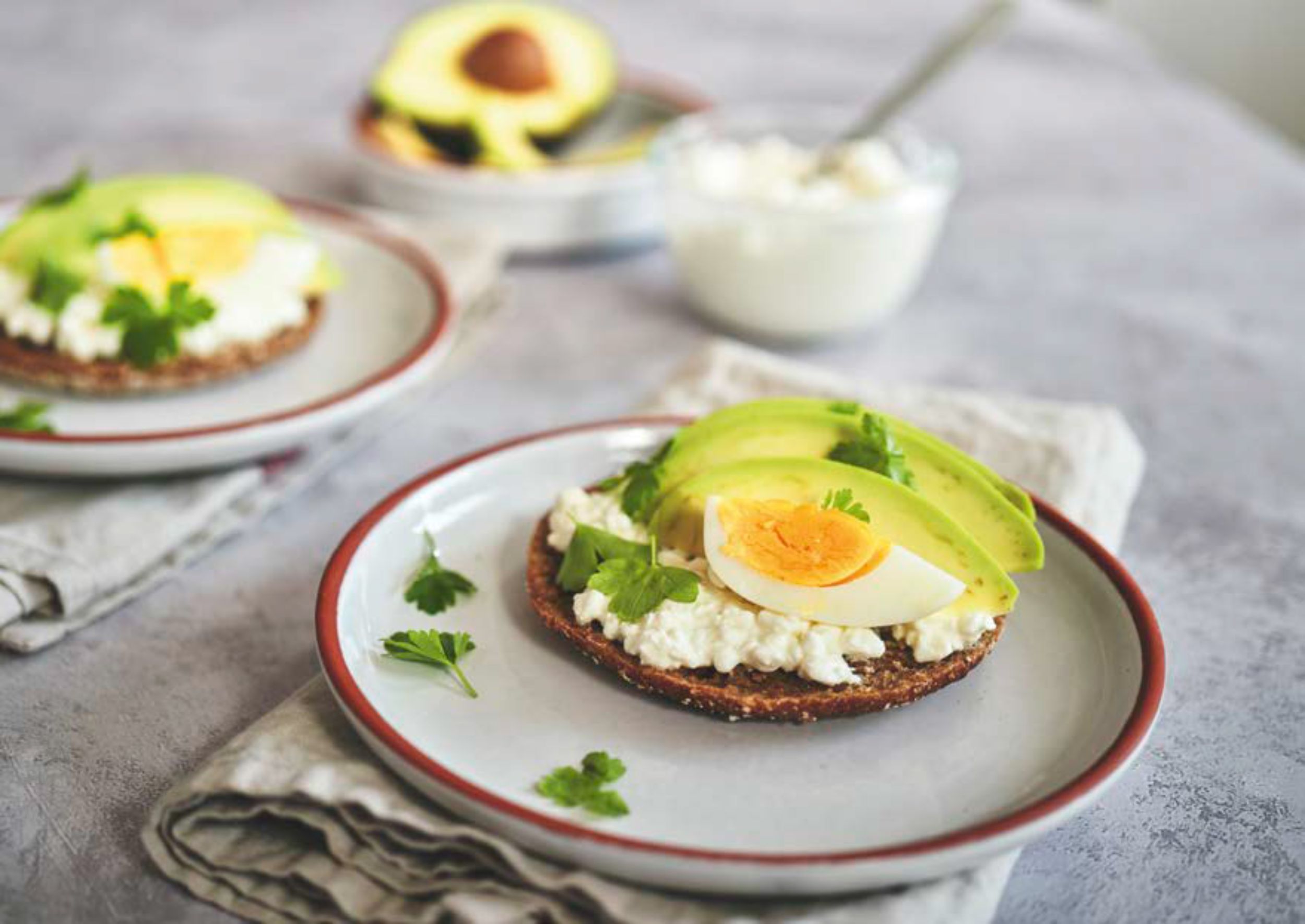 Teller mit Avocado Brot