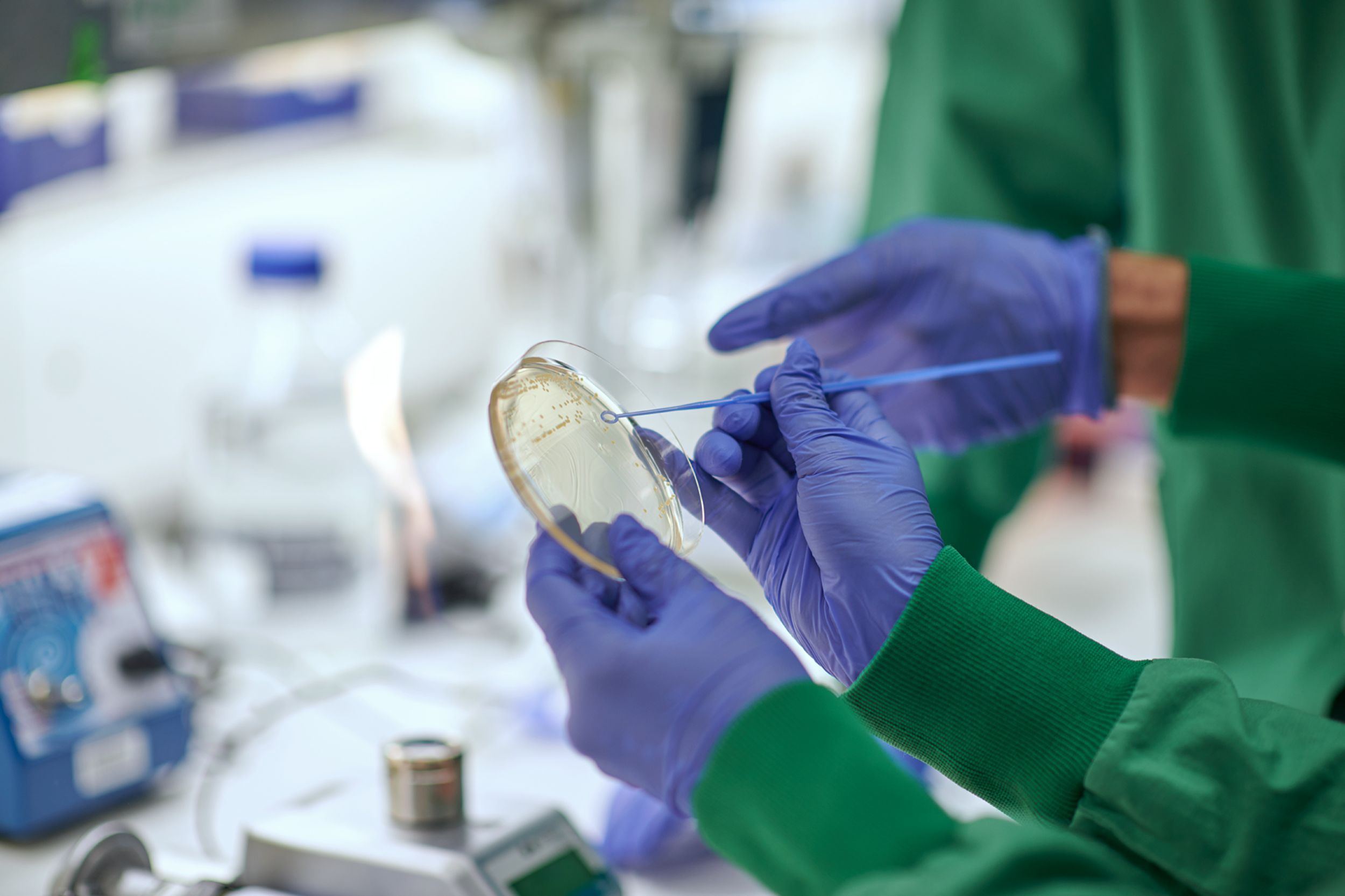 Mitarbeiterin der Klinik für Infektiologie streicht Bakterienprobe aus