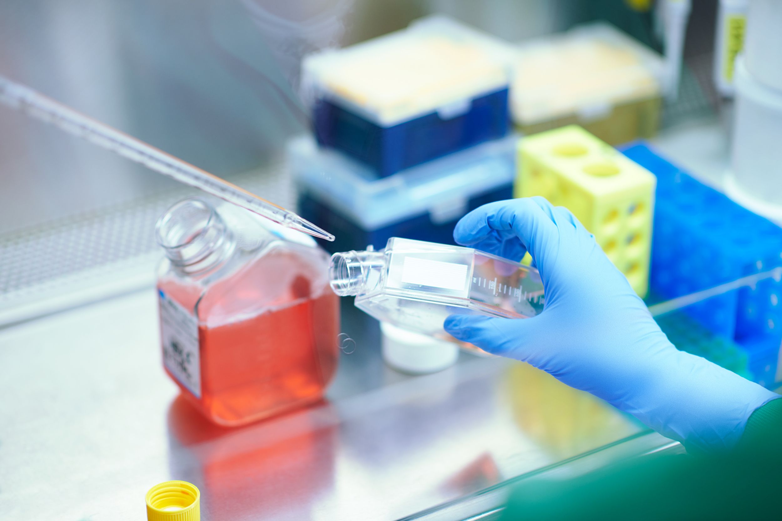Header Bild der Forschung zeigt eine forschende Person beim Pipettieren