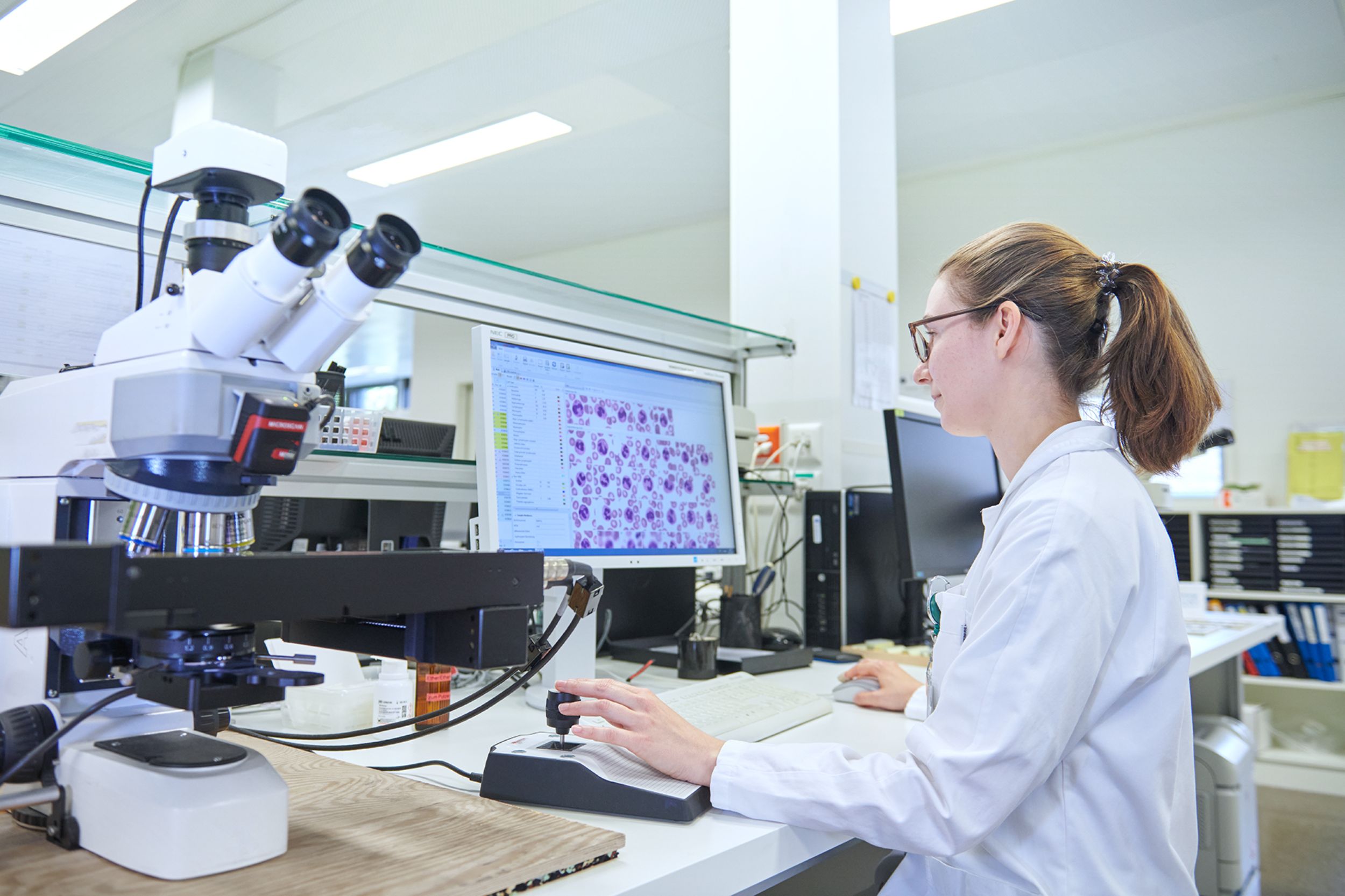 Labormedizin Bakteriologie