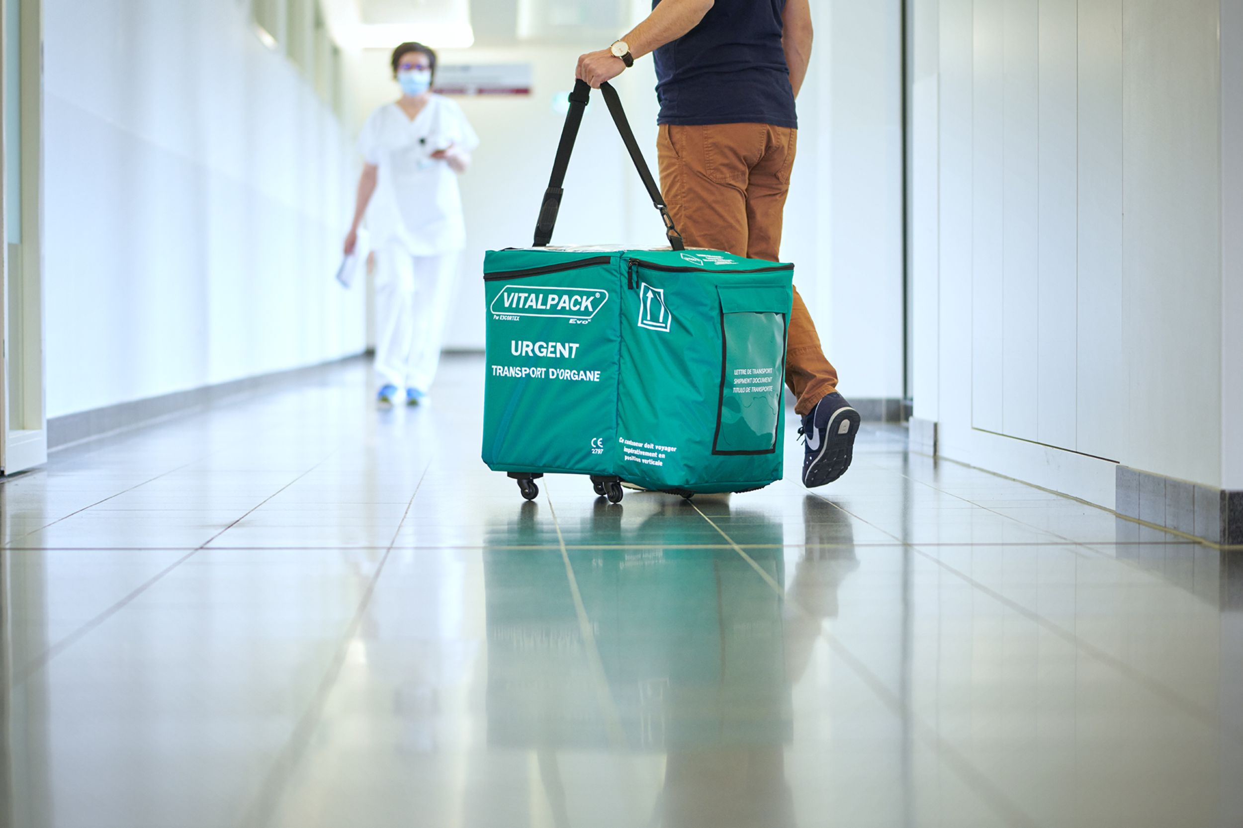 Mitarbeiter der Transplantationsimmunologie beim Transport einer Transplantationsbox in den OP-Saal