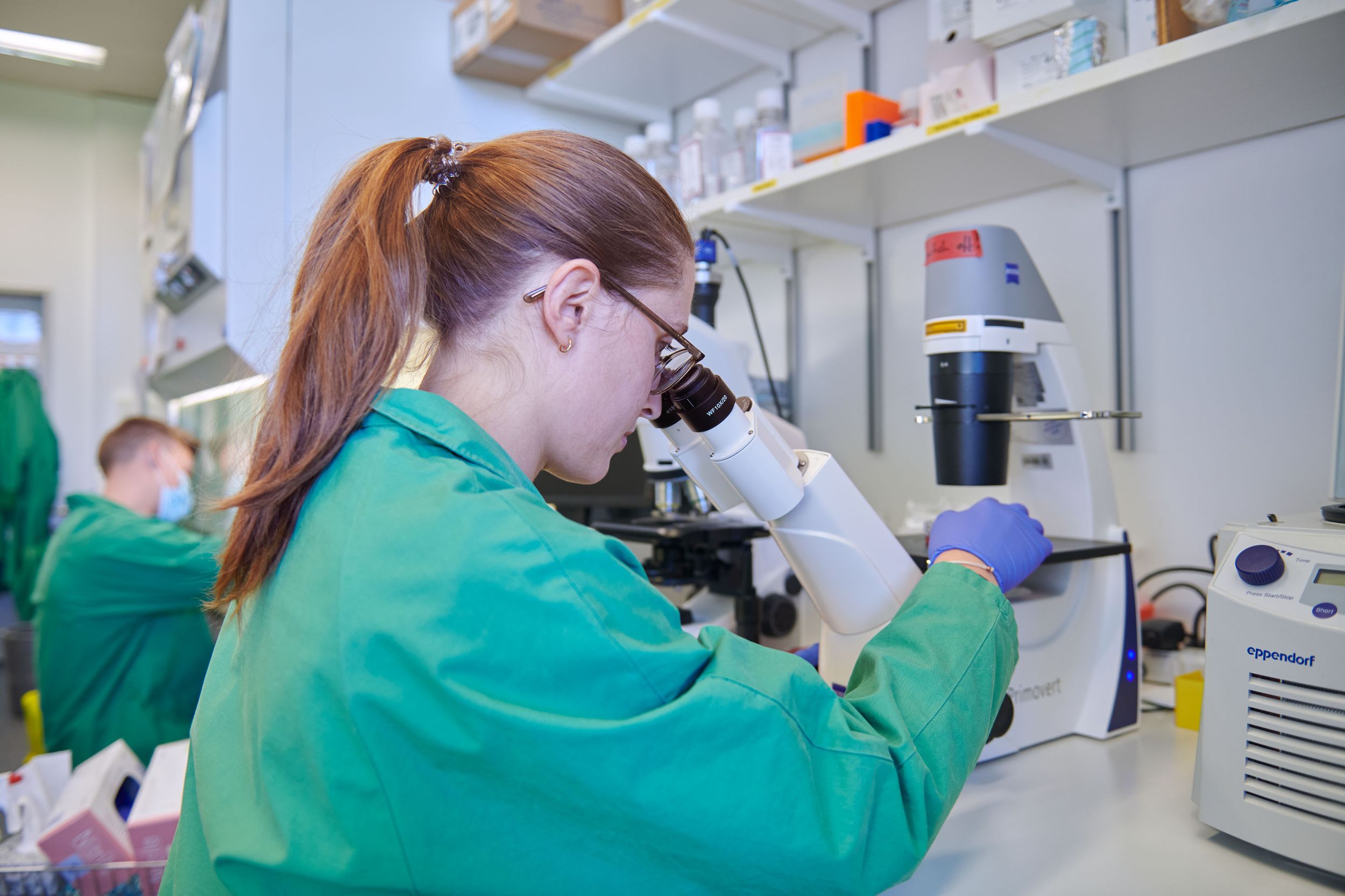 Chercheurs au microscope dans le laboratoire cellulaire