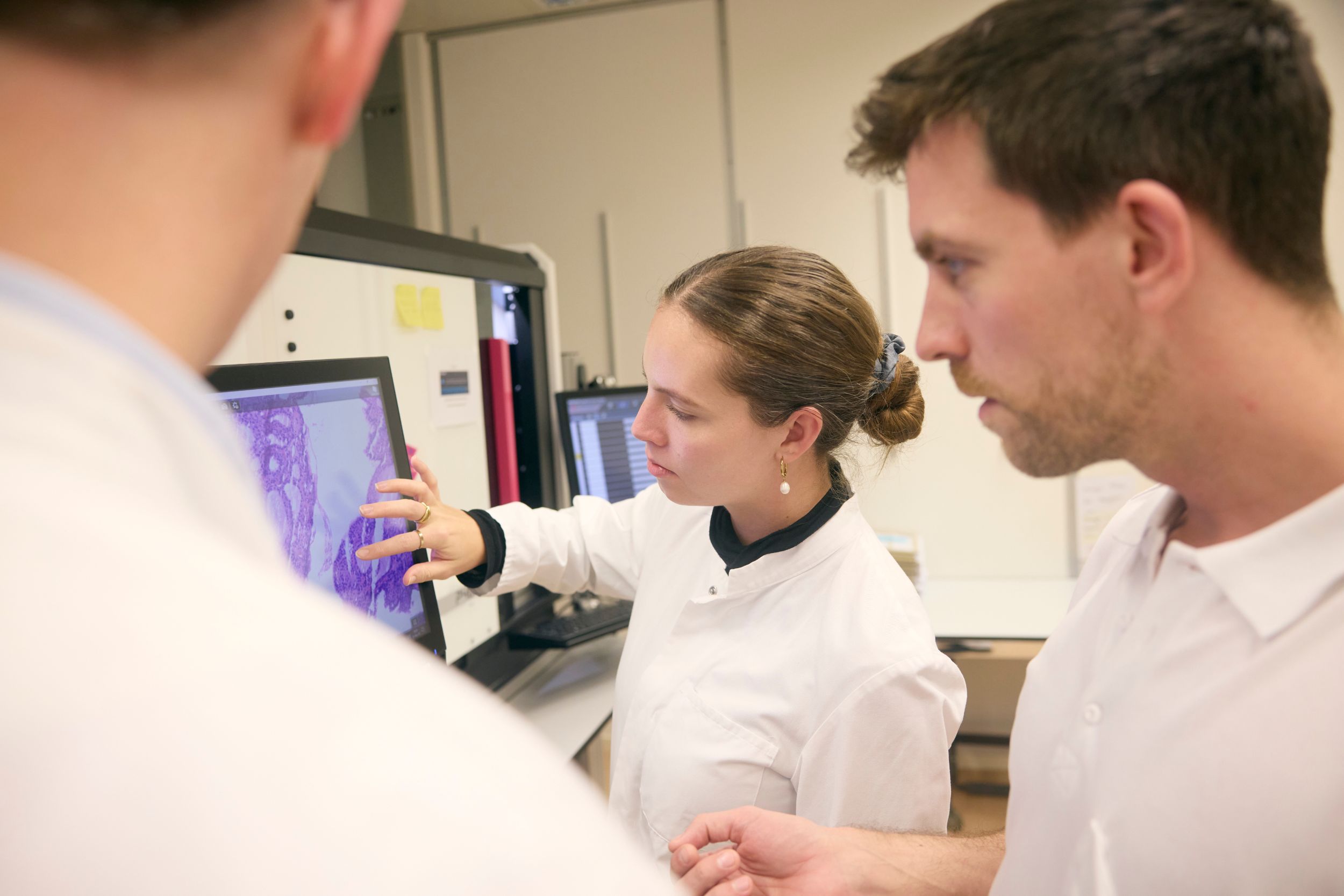 Proben der Pathologie 