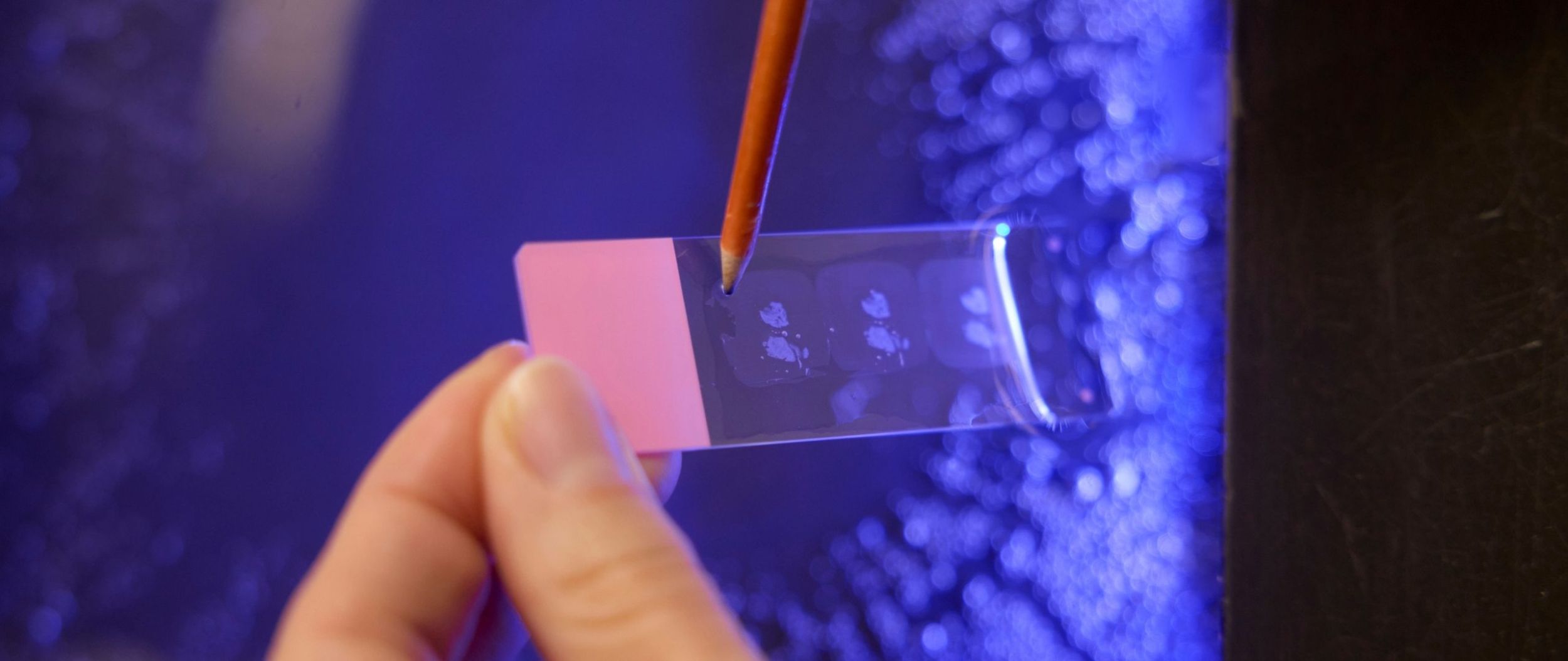 Detailaufnahme einer Probe