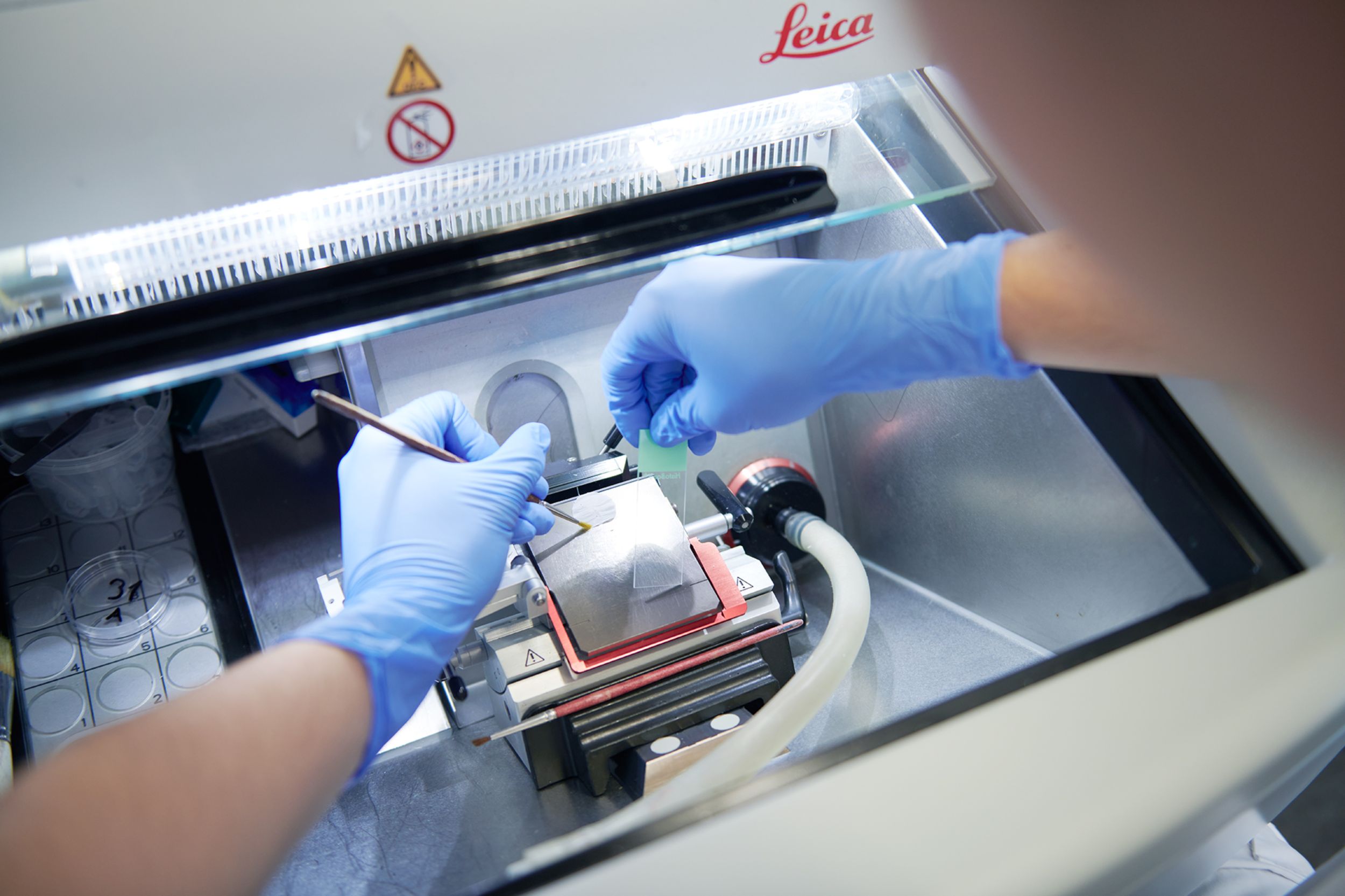 Mitarbeiter der Pathologie arbeitet an einem Kryostat