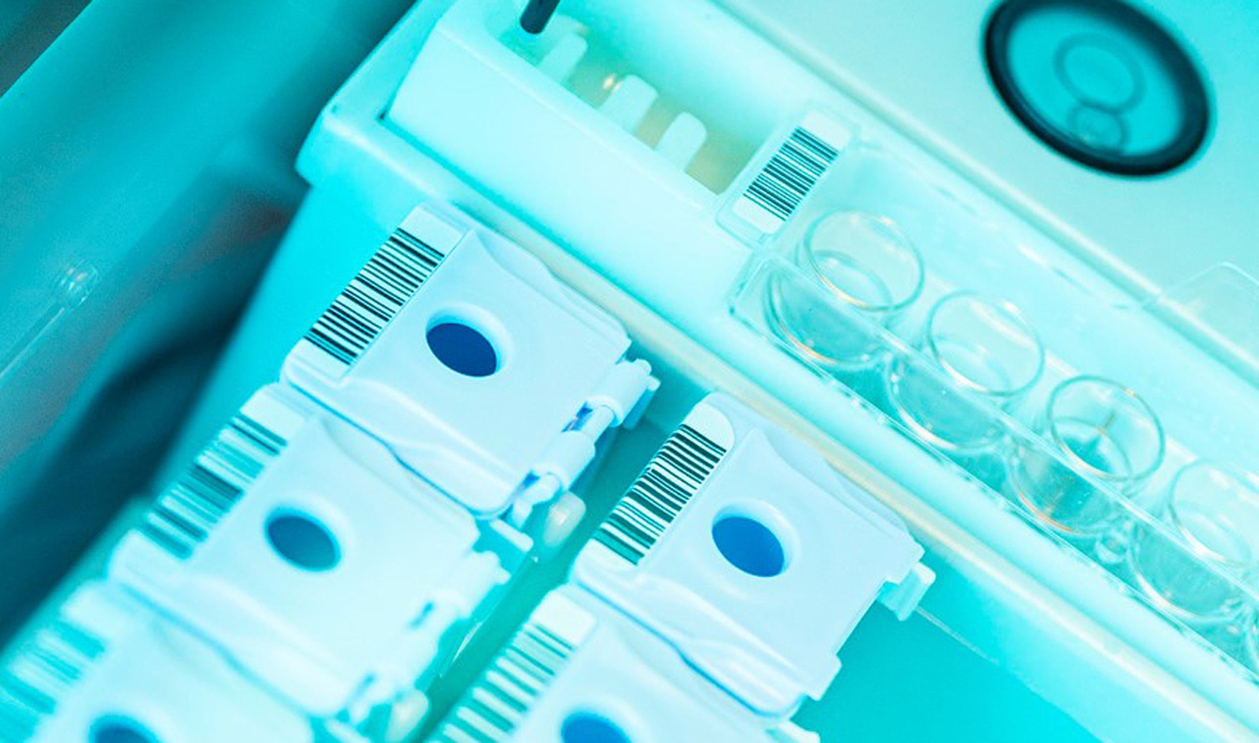 Image of a computer in digital pathology diagnostics