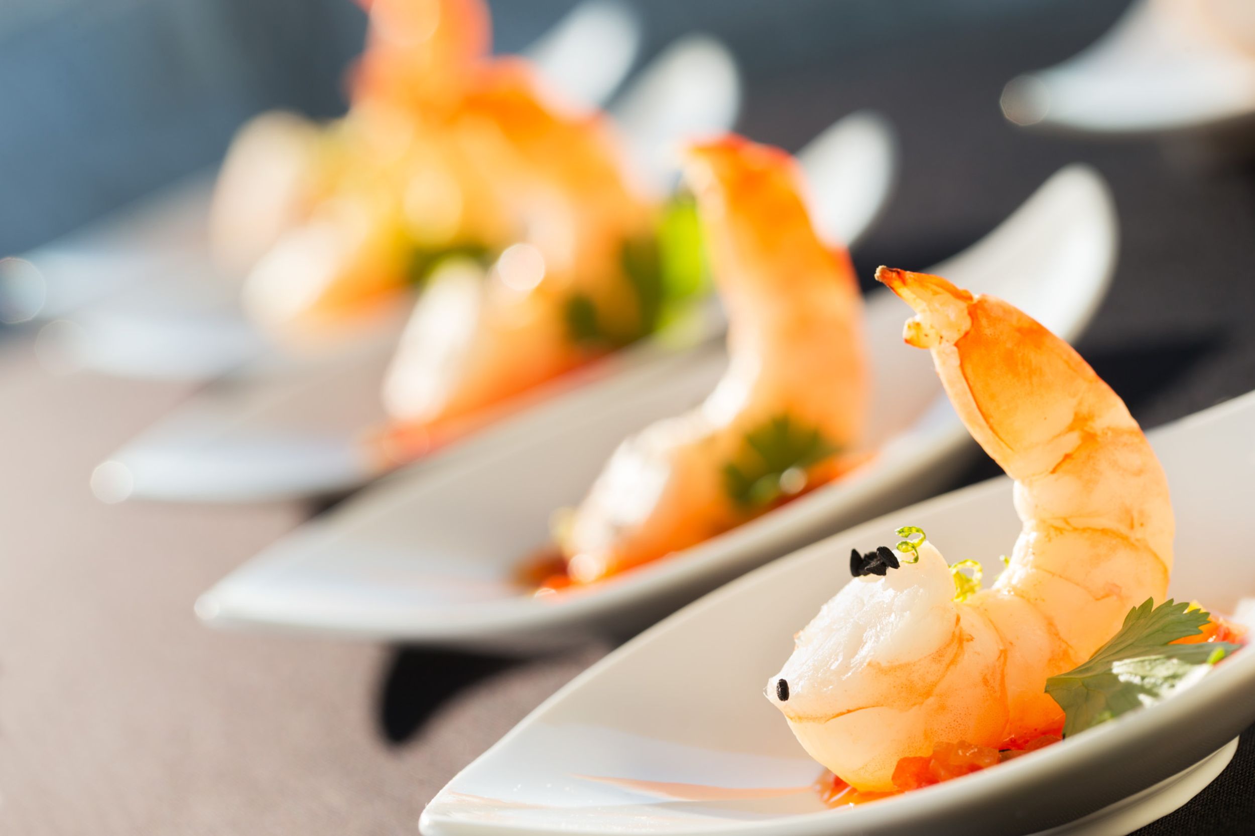 Catering & Congresses