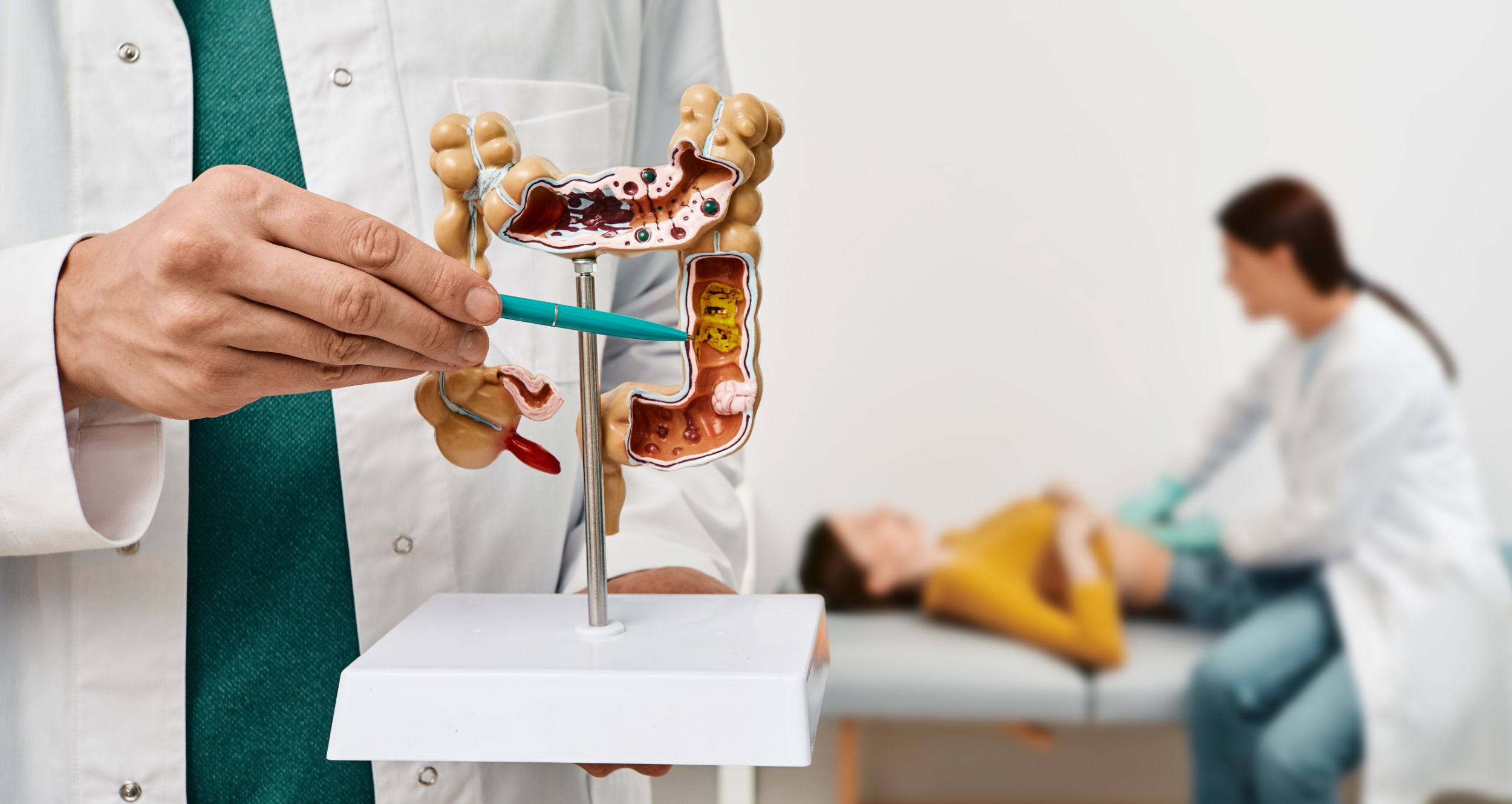Modell Verdauungstrakt mit Patientin und Ärztin im Hintergrund