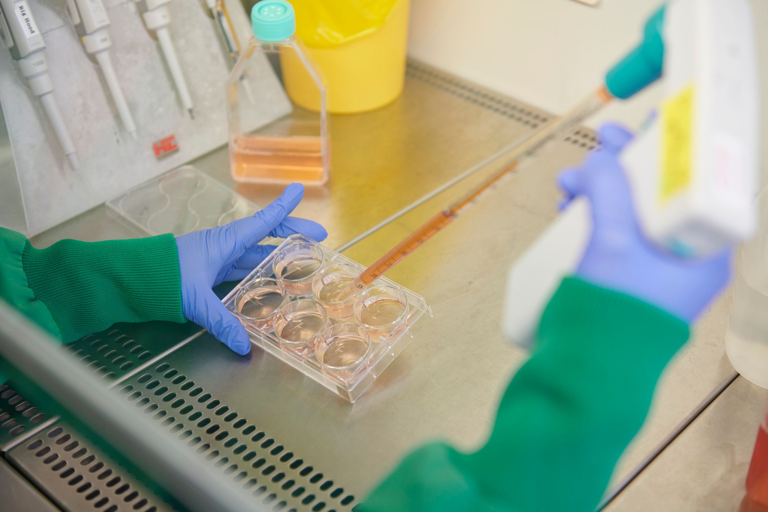 Laboraufnahme von Pipettieren