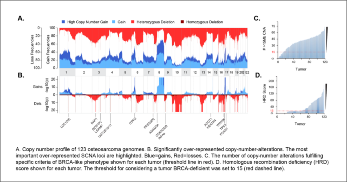 Medizinische Darstellung