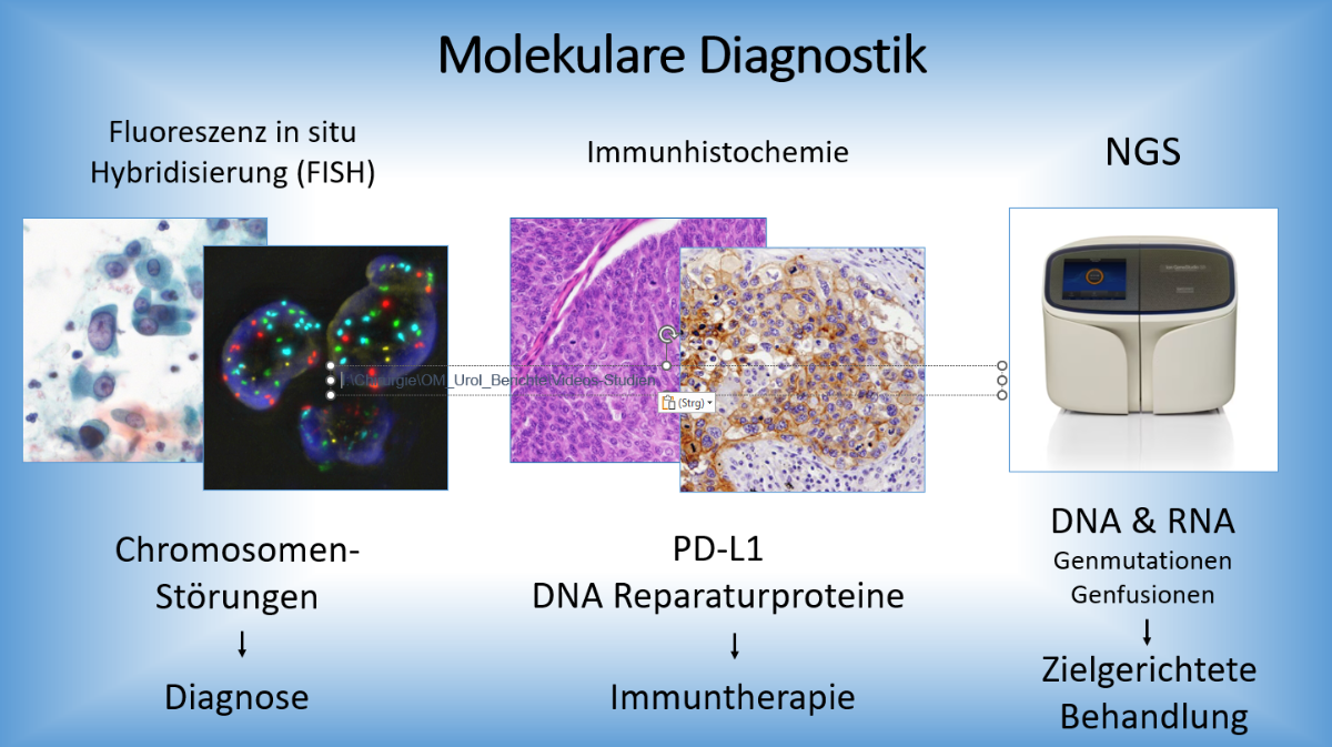 Molekulare Diagnostik