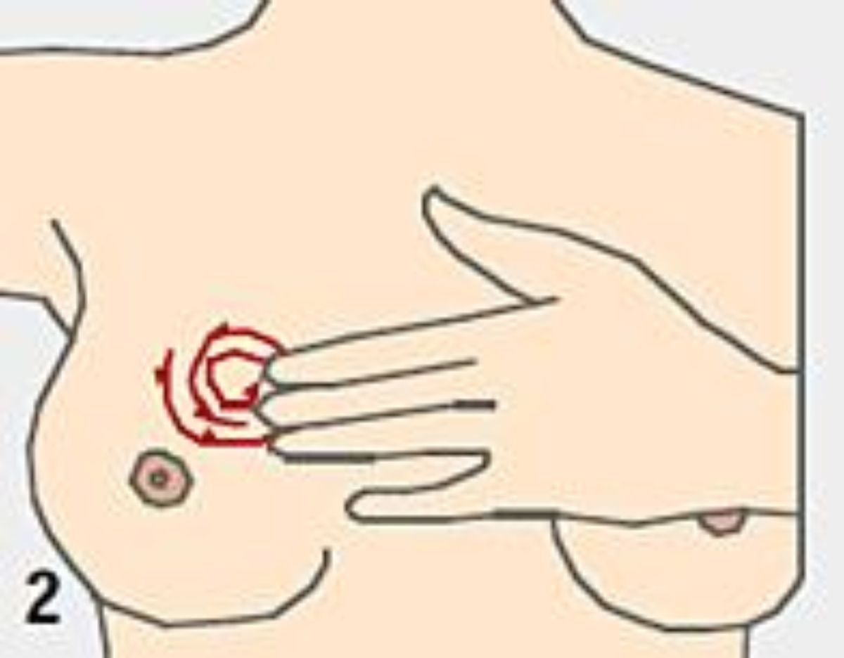 Representation of a breast