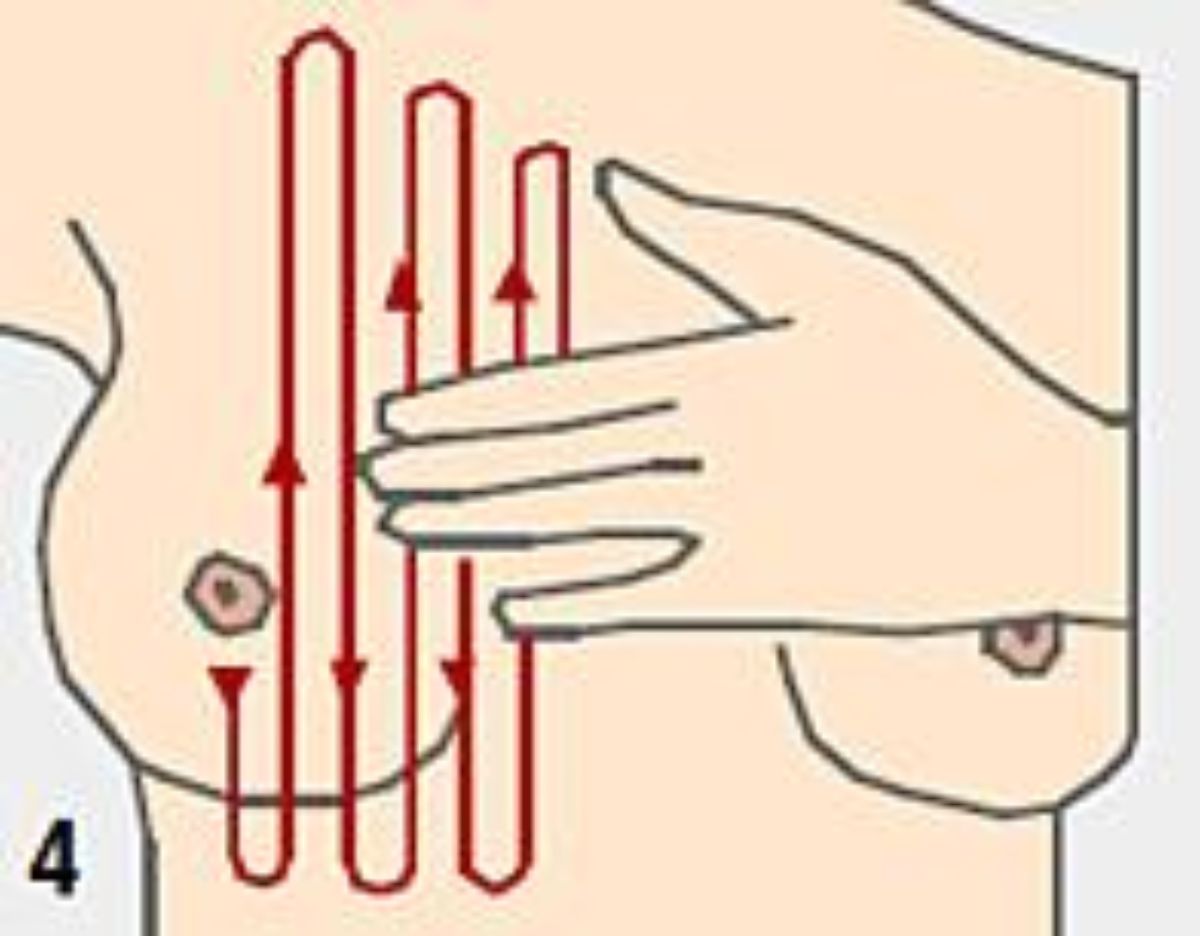 Representation of a breast